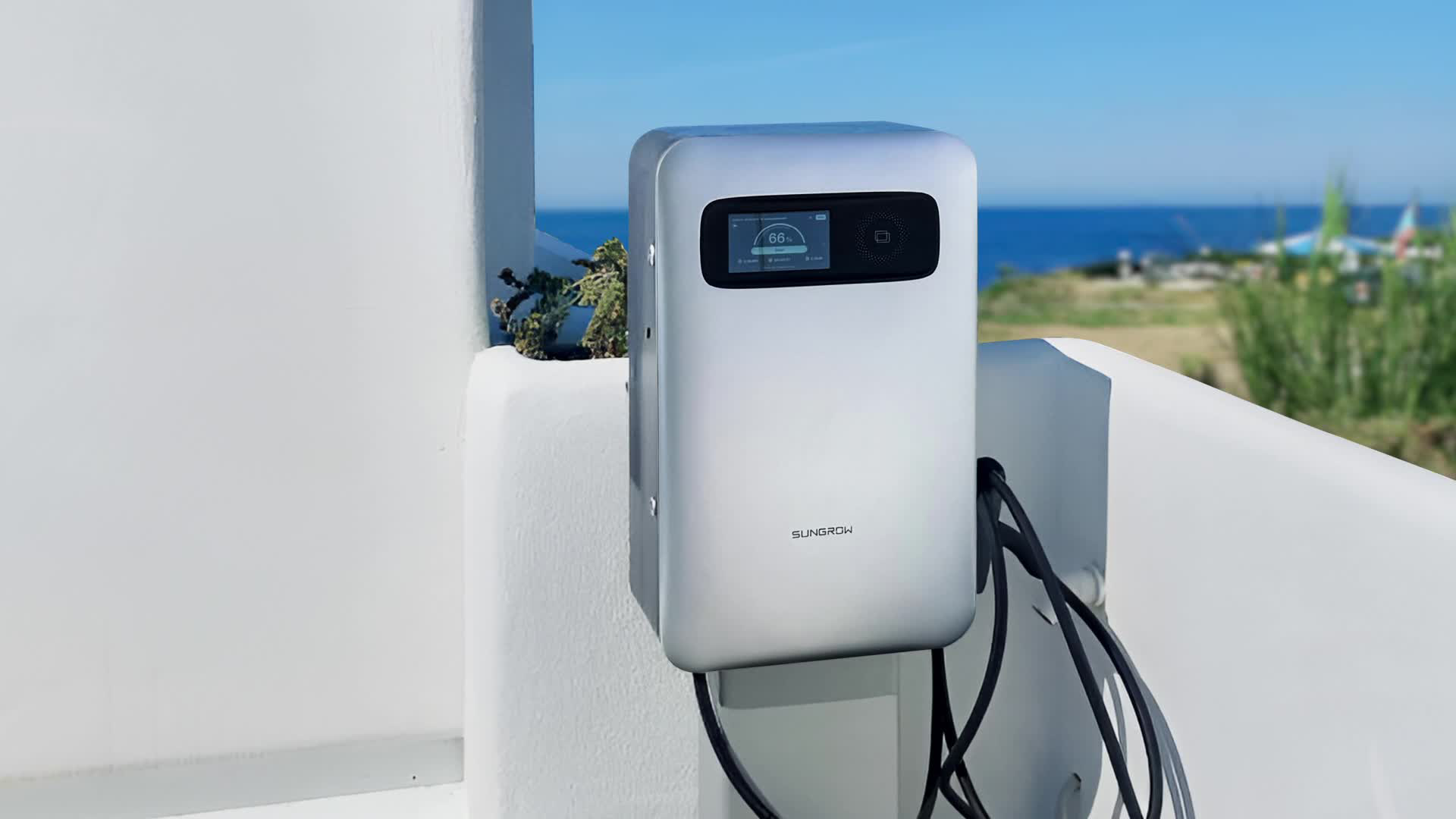 海风淬炼的“守护者”